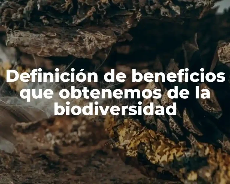 Definición de beneficios que obtenemos de la biodiversidad