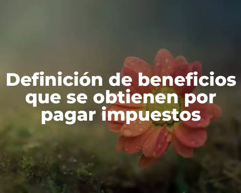 Definición de beneficios que se obtienen por pagar impuestos