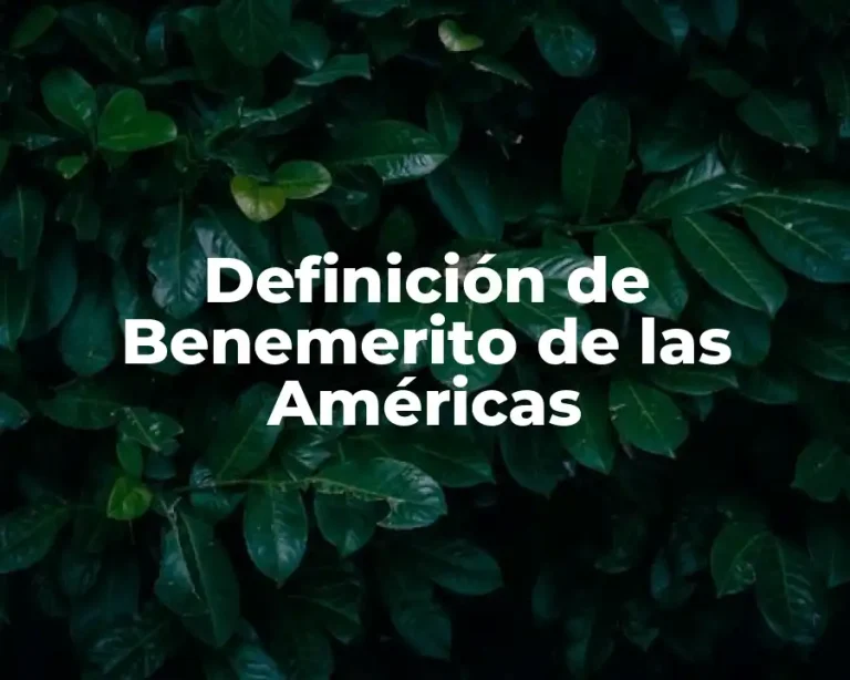 Definición de Benemerito de las Américas