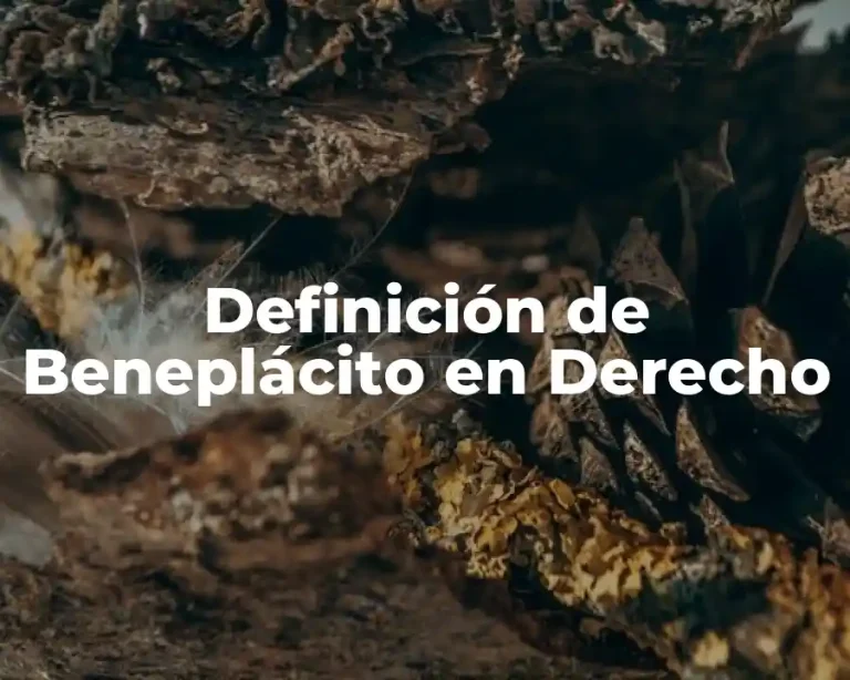 Definición de Beneplácito en Derecho