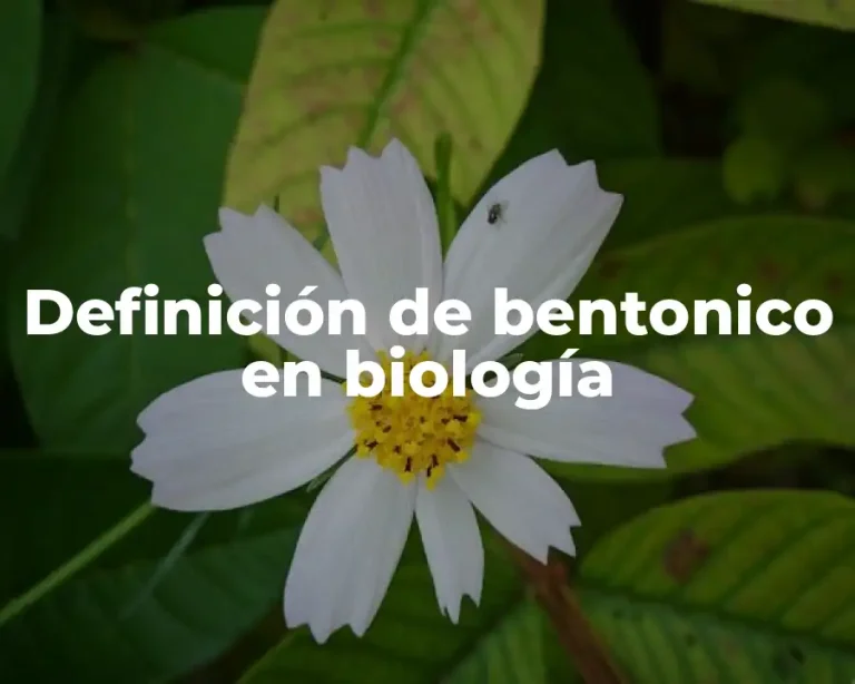 Definición de bentonico en biología