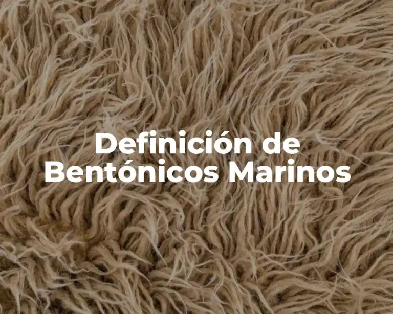 Definición de Bentónicos Marinos