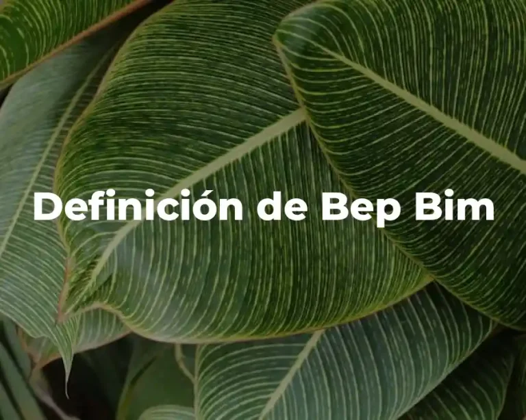 Definición de Bep Bim