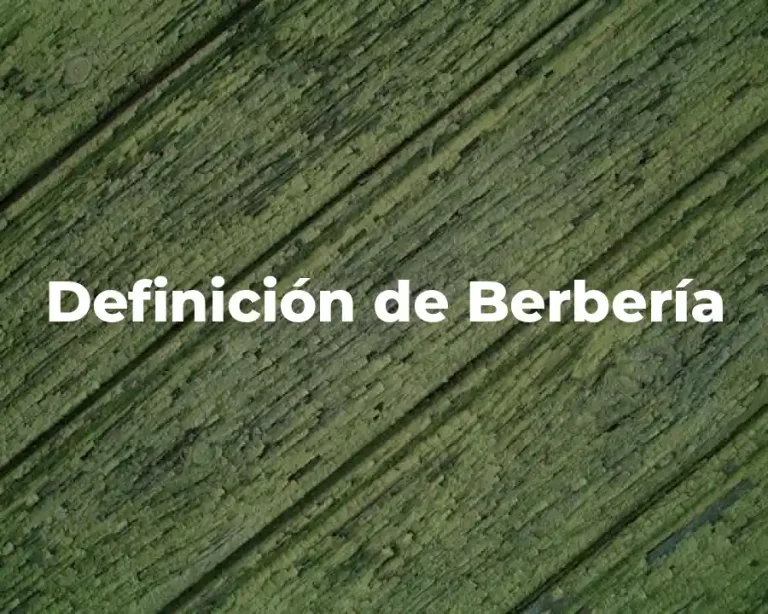 Definición de Berbería
