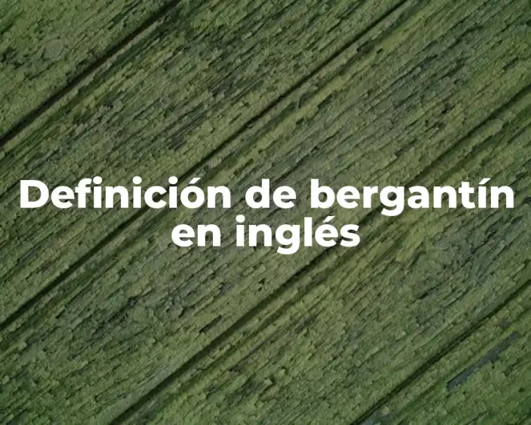 Definición de bergantín en inglés
