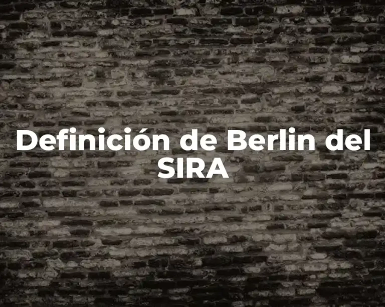 Definición de Berlin del SIRA