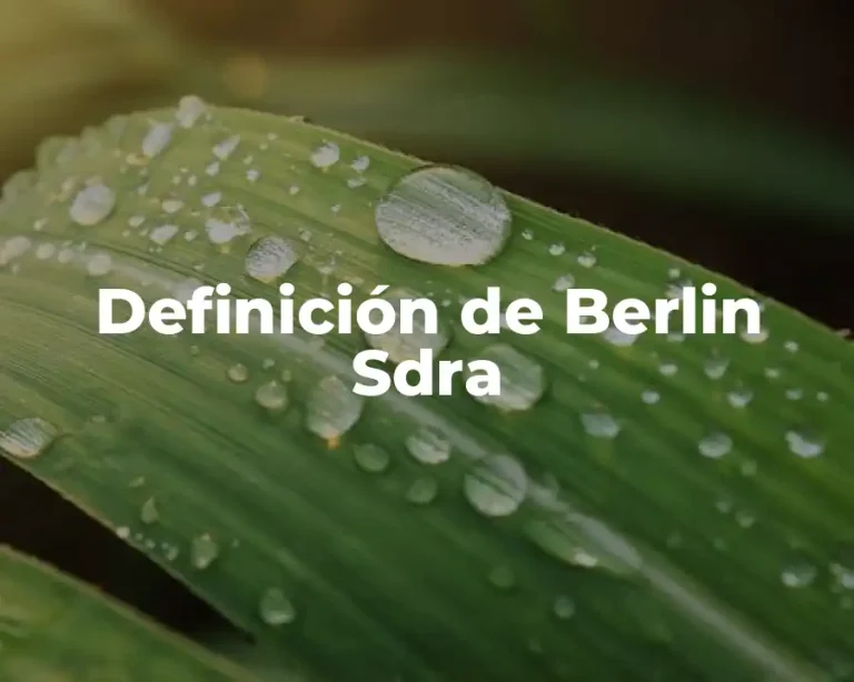 Definición de Berlin Sdra