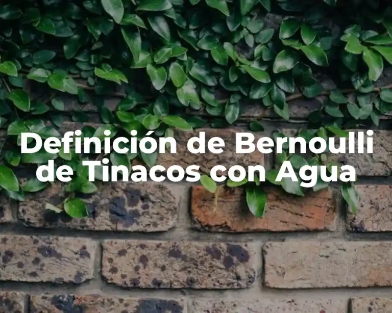 Definición de Bernoulli de Tinacos con Agua