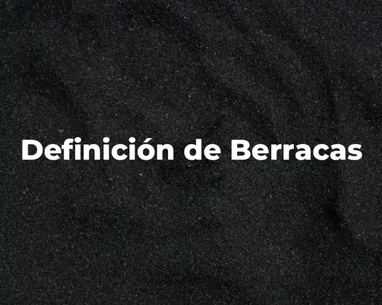 Definición de Berracas