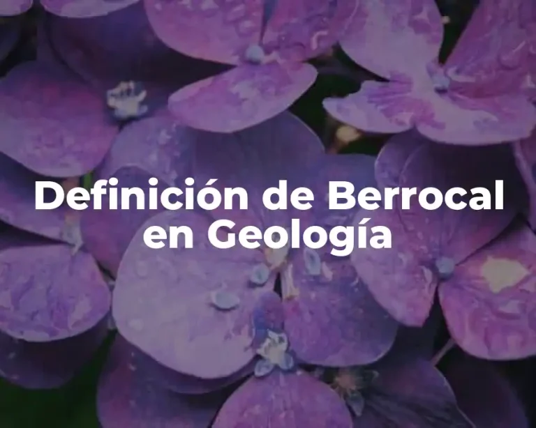 Definición de Berrocal en Geología