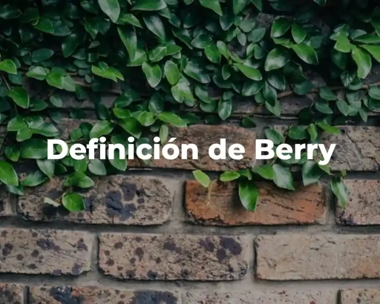 Definición de Berry