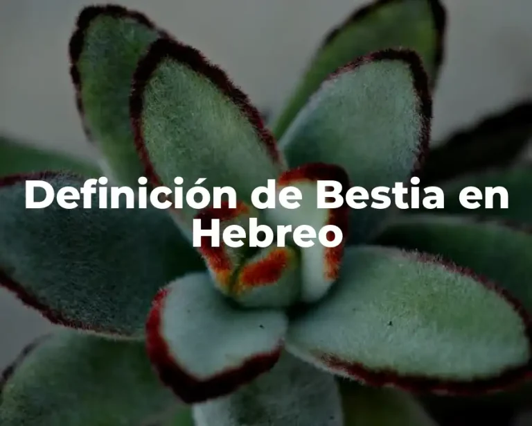 Definición de Bestia en Hebreo