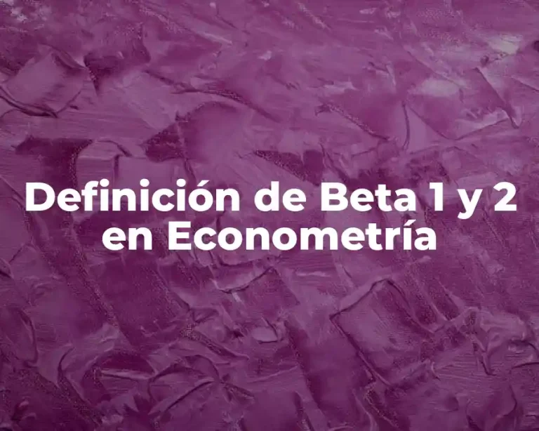 Definición de Beta 1 y 2 en Econometría