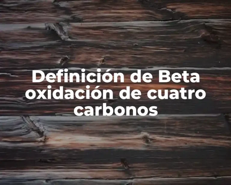 Definición de Beta oxidación de cuatro carbonos
