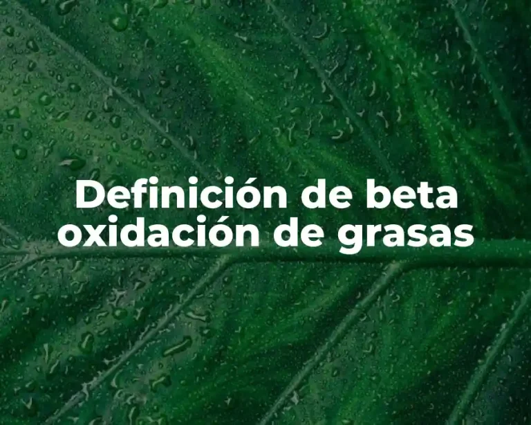 Definición de beta oxidación de grasas