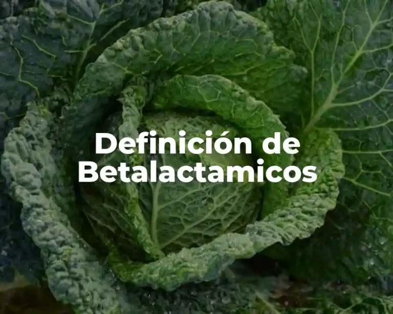 Definición de Betalactamicos