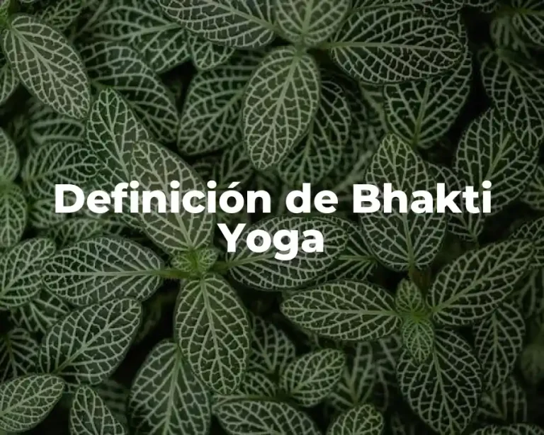 Definición de Bhakti Yoga