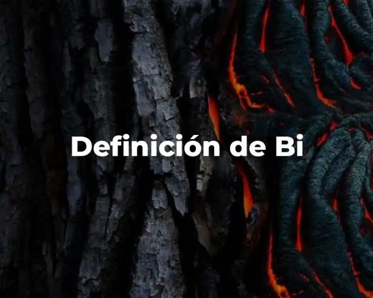 Definición de Bi