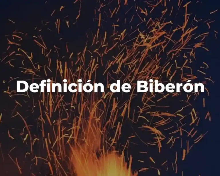 Definición de Biberón