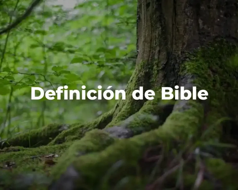 Definición de Bible