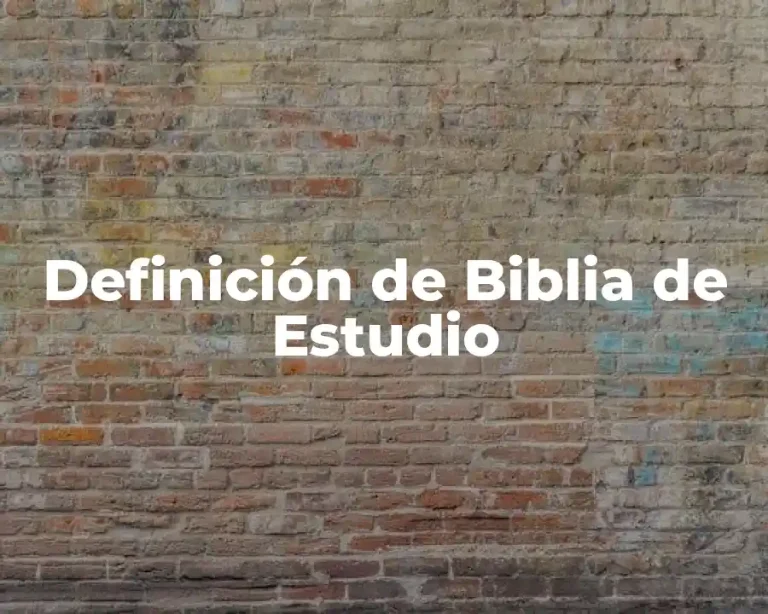 Definición de Biblia de Estudio
