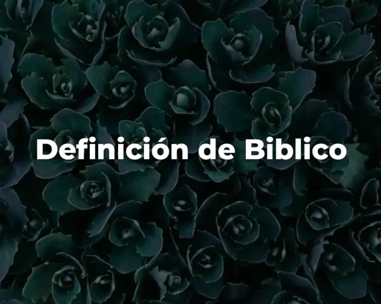Definición de Biblico