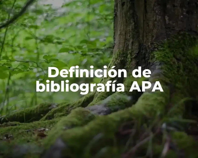 Definición de bibliografía APA