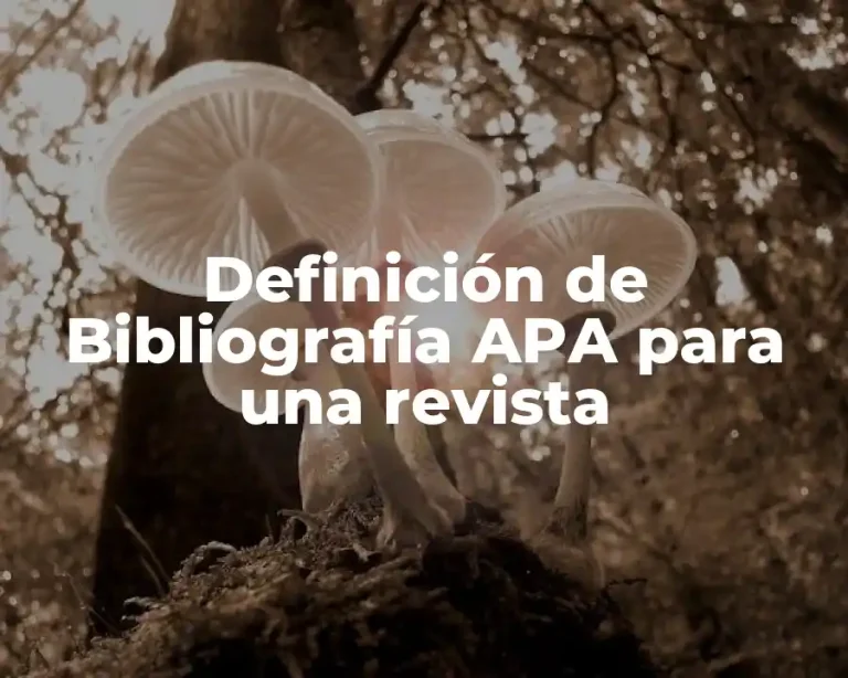 Definición de Bibliografía APA para una revista