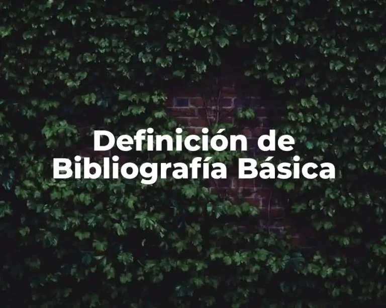Definición de Bibliografía Básica