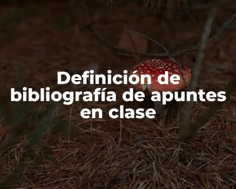 Definición de bibliografía de apuntes en clase