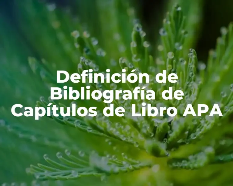 Definición de Bibliografía de Capítulos de Libro APA