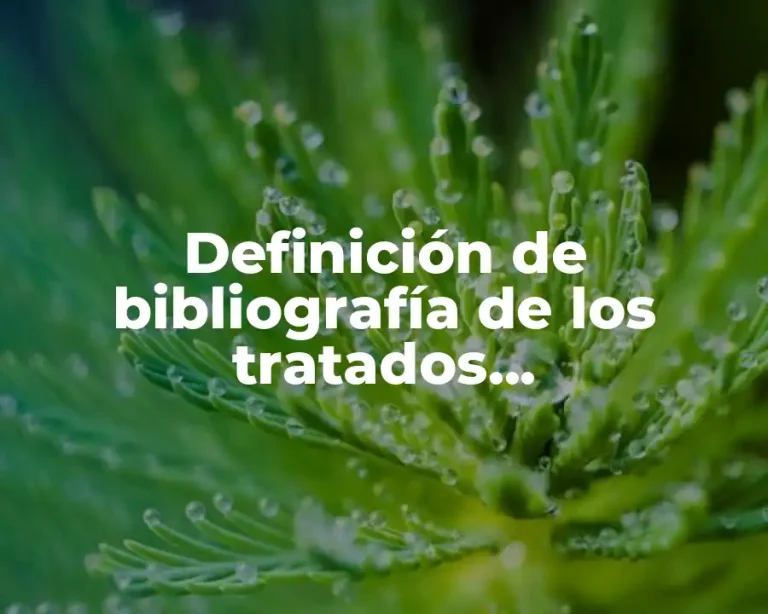 Definición de bibliografía de los tratados internacionales en appa