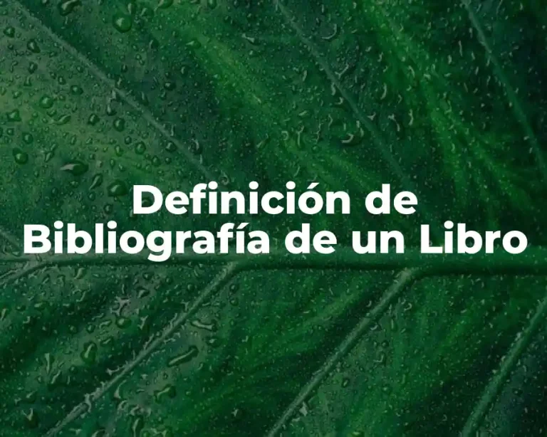 Definición de Bibliografía de un Libro
