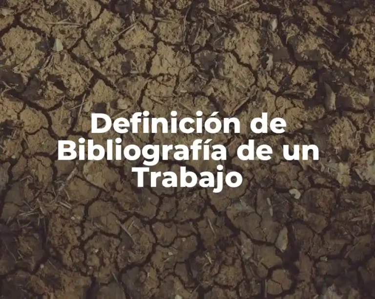 Definición de Bibliografía de un Trabajo