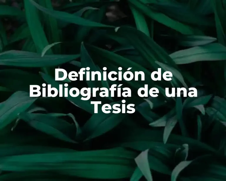 Definición de Bibliografía de una Tesis