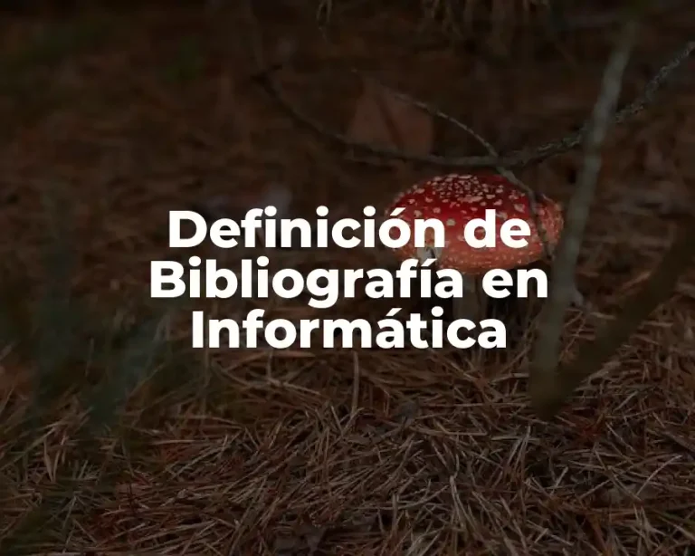 Definición de Bibliografía en Informática