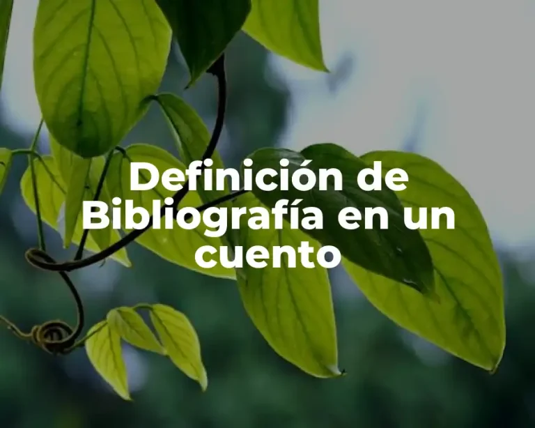 Definición de Bibliografía en un cuento