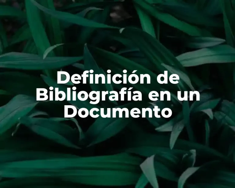 Definición de Bibliografía en un Documento