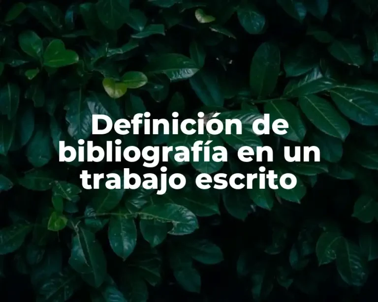 Definición de bibliografía en un trabajo escrito