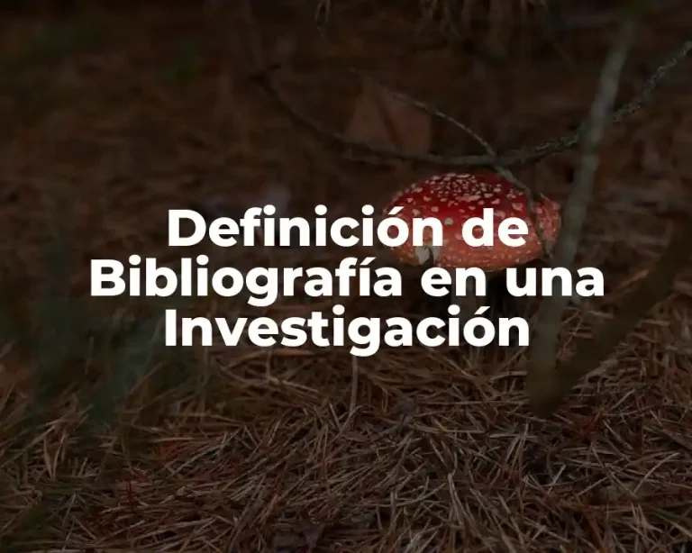 Definición de Bibliografía en una Investigación