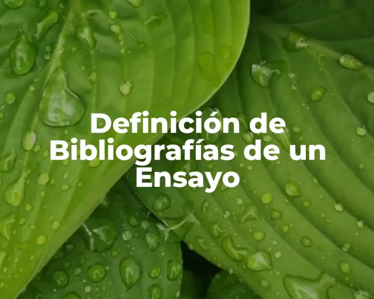 Definición de Bibliografías de un Ensayo