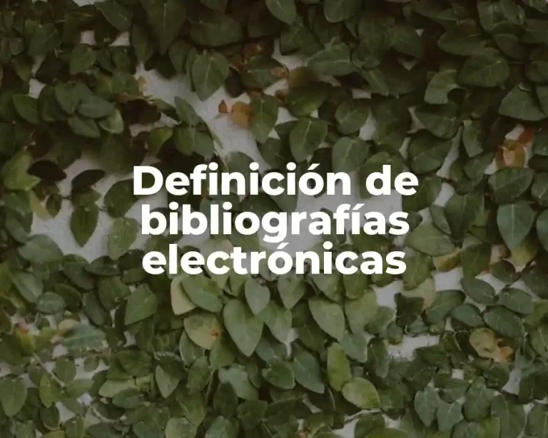 Definición de bibliografías electrónicas
