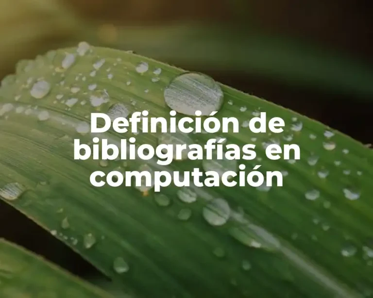 Definición de bibliografías en computación