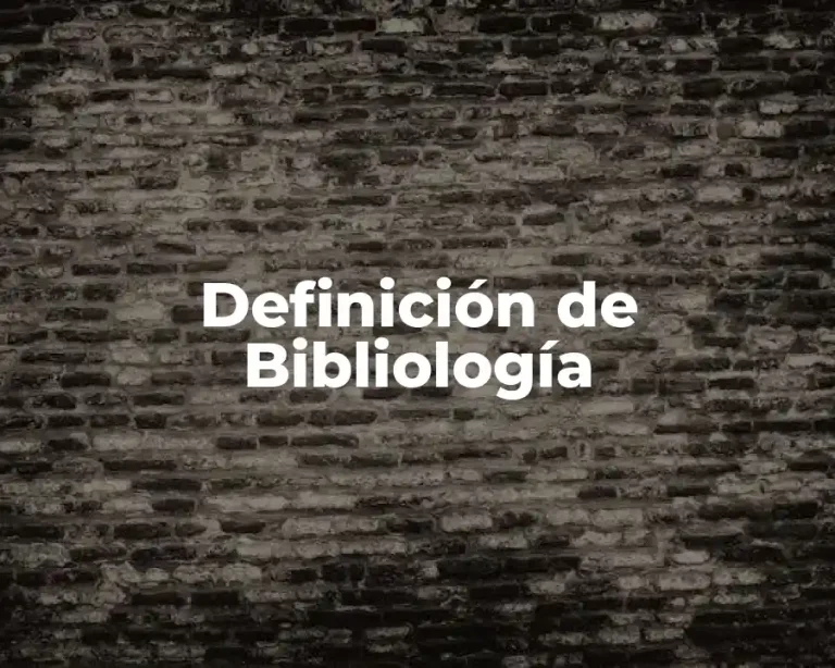 Definición de Bibliología