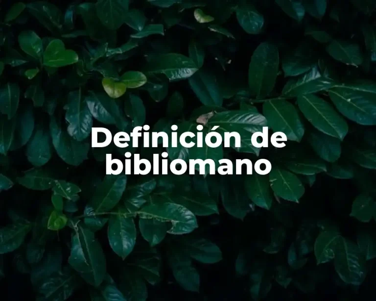 Definición de bibliomano