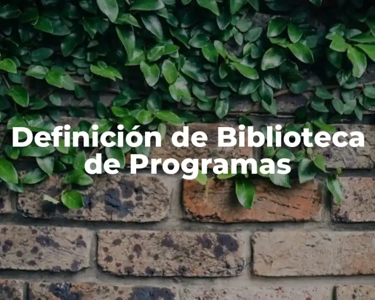 Definición de Biblioteca de Programas