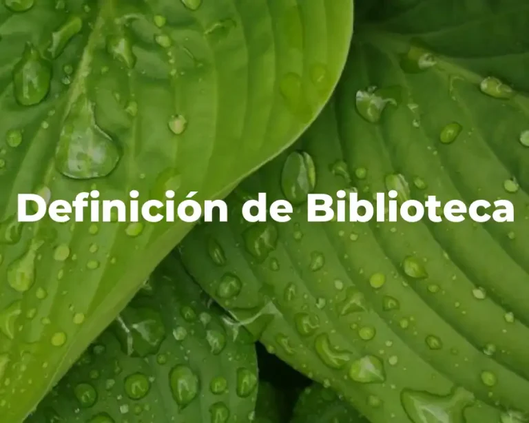 Definición de Biblioteca