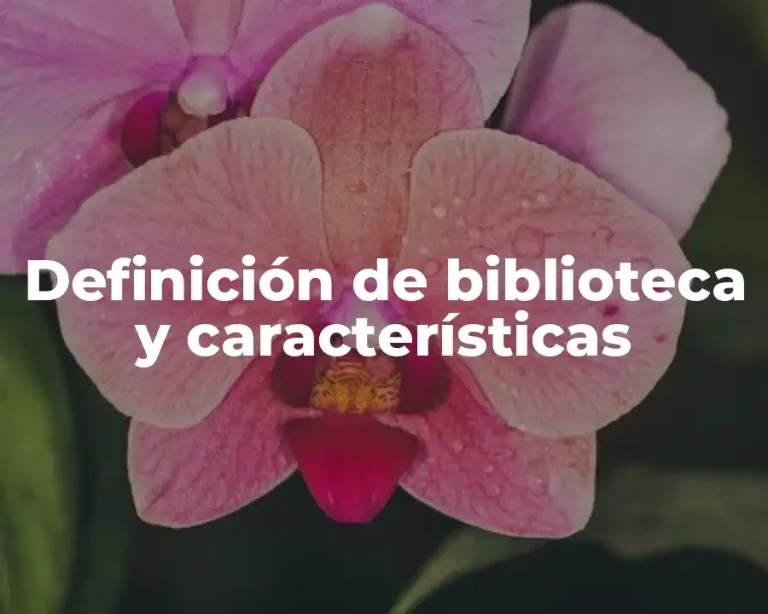 Definición de biblioteca y características
