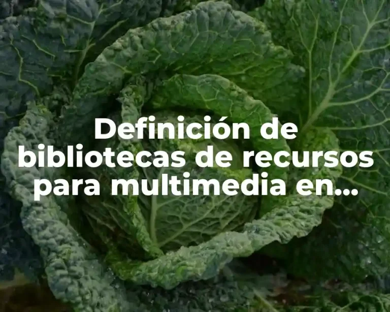 Definición de bibliotecas de recursos para multimedia en informática