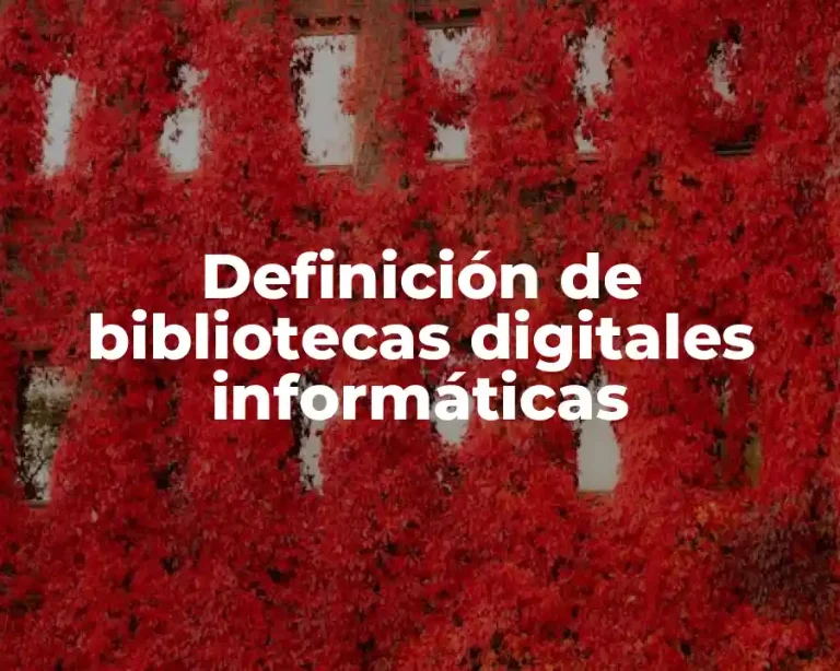 Definición de bibliotecas digitales informáticas